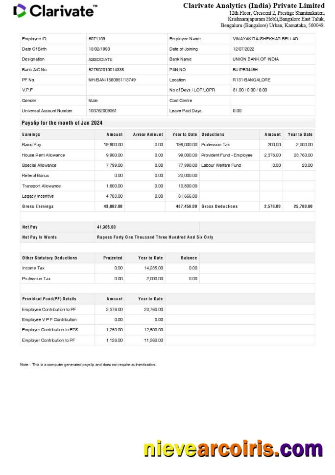 Clarivate Analytics India payslip